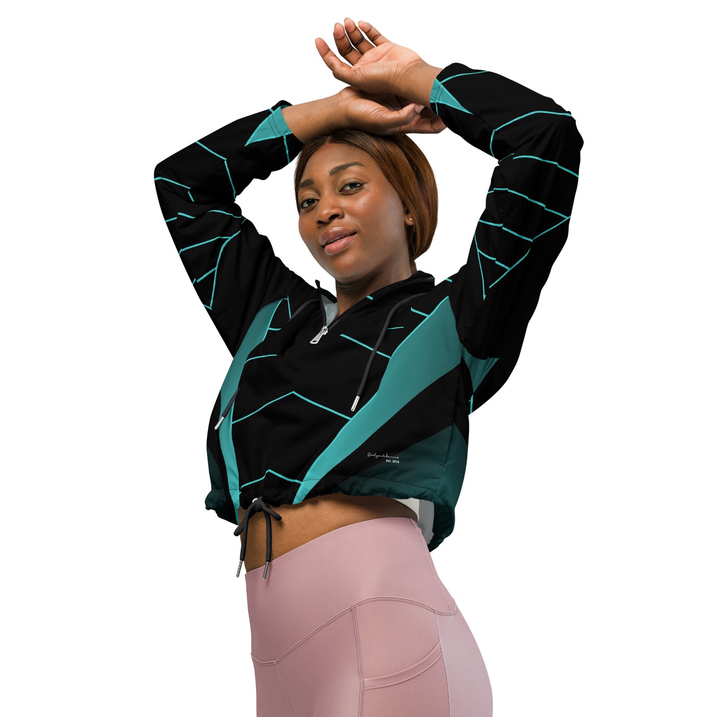 Linear cropped windbreaker